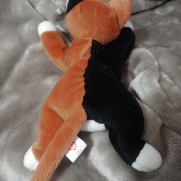 RARE TY "Chip" Beanie Baby, 1996 PVC & ERRORS - Picture 3 of 12